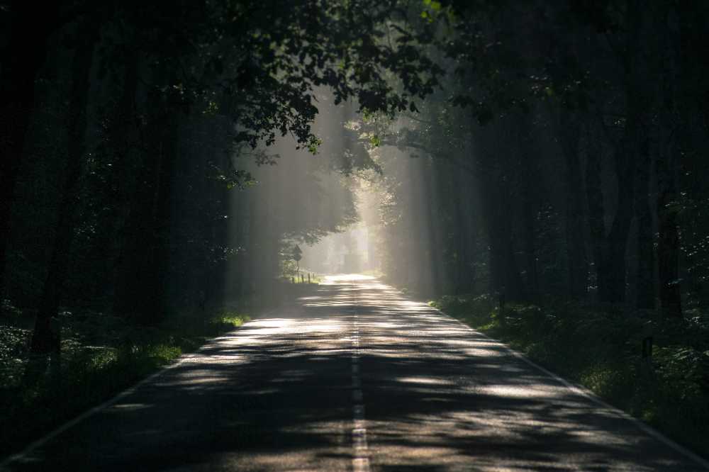 Many accidents that occur in Florida annually are linked to tire failures or tire blowouts.