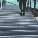 Slip and fall accidents on stairs can cause serious injuries.