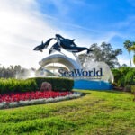 Florida SeaWorld Orlando Slip and Fall Accident Lawyer