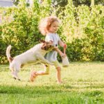 Fort Lauderdale Dog Bite Lawyer