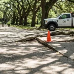 cracked sidewalk uplifted by tree roots with safety cone and City Parks Department truck